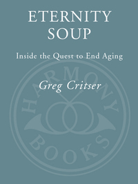 Cover image: Eternity Soup 9780307407900