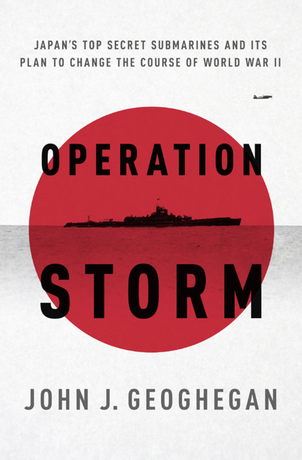 Operation Storm (eBook)