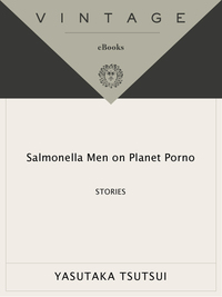 Cover image: Salmonella Men on Planet Porno 9780307389152