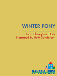 Cover image: Winter Pony 9780375847103