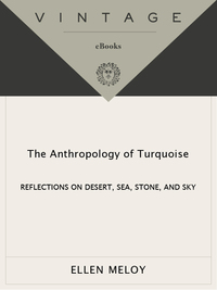 Cover image: The Anthropology of Turquoise 9780375708138