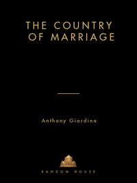 Cover image: The Country of Marriage 9780812992359