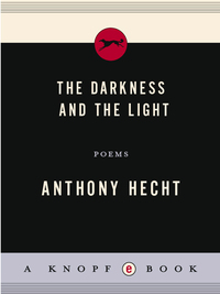 Cover image: The Darkness and the Light 9780375411946