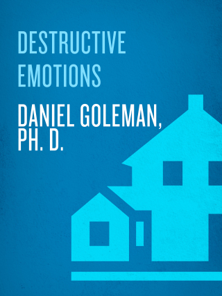 Cover image: Destructive Emotions 9780553381054