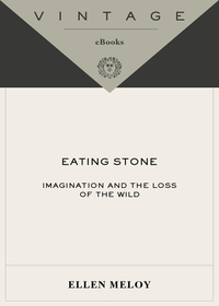 Cover image: Eating Stone 9781400031771