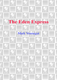 Cover image: The Eden Express 9780440613930