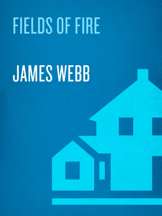 Cover image: Fields of Fire 9780553583854