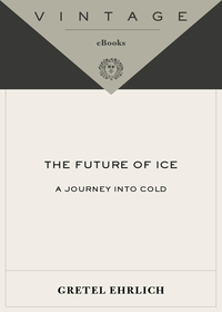 Cover image: The Future of Ice 9781400034352