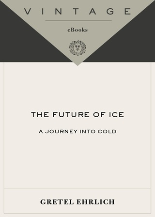 Cover image: The Future of Ice 9781400034352