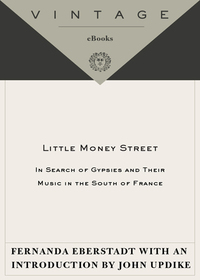 Cover image: Little Money Street 9780307279422