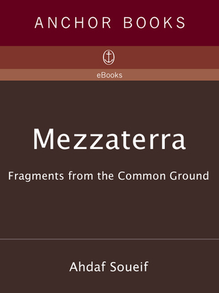 Cover image: Mezzaterra 9781400096633
