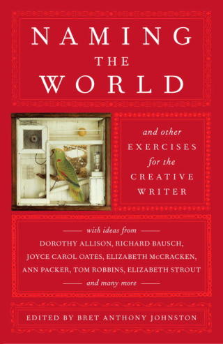 Cover image: Naming the World 9780812975482