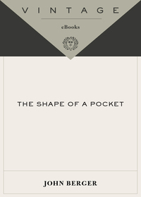 Cover image: The Shape of a Pocket 9780375718885