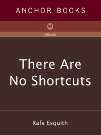 Cover image: There Are No Shortcuts 9781400030835
