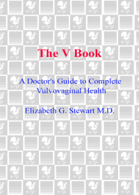 Cover image: The V Book 9780553381146