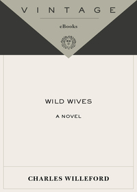 Cover image: Wild Wives 9781400032471