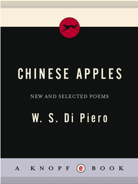 Cover image: Chinese Apples 9780307265388