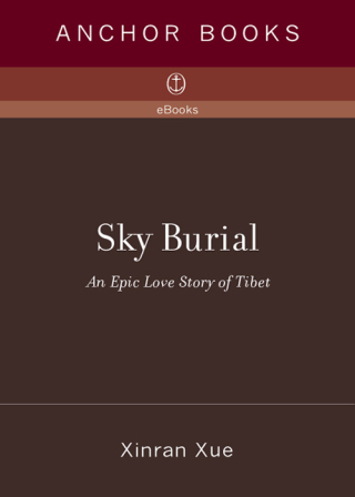 Cover image: Sky Burial 9781400095643