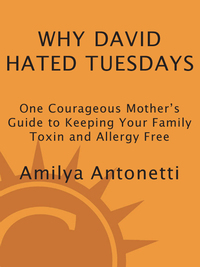 Cover image: Why David Hated Tuesdays 9780761514992