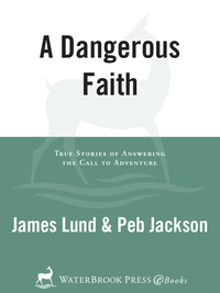 Cover image: A Dangerous Faith 9781400073450
