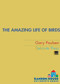 Cover image: The Amazing Life of Birds 1st edition 9780385746601