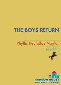Cover image: The Boys Return 9780440416753