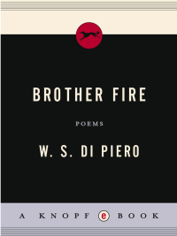 Cover image: Brother Fire 9780375710490