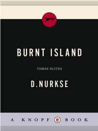 Cover image: Burnt Island 9780375710803