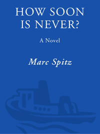Cover image: How Soon Is Never? 9780609810408