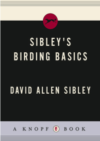 Cover image: Sibley's Birding Basics 9780375709661