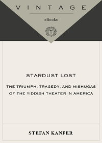Cover image: Stardust Lost 9781400078035