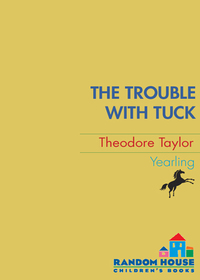 Cover image: The Trouble with Tuck 9780440416968