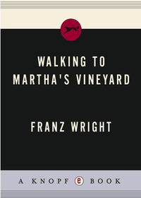 Cover image: Walking to Martha's Vineyard 9780375710018