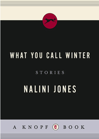 Cover image: What You Call Winter 9781400042760