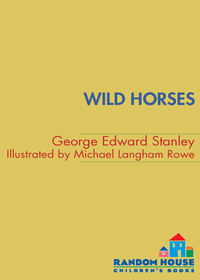 Cover image: Wild Horses 9780375844386