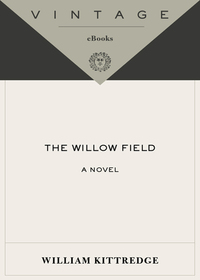 Cover image: The Willow Field 9781400034123