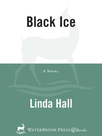 Cover image: Black Ice 9781578569557