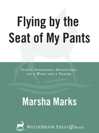 Cover image: Flying by the Seat of My Pants 9781578566990