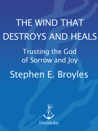 Cover image: The Wind That Destroys and Heals 9781578566532