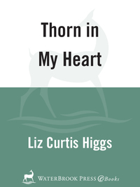 Cover image: Thorn in My Heart 9781578565122