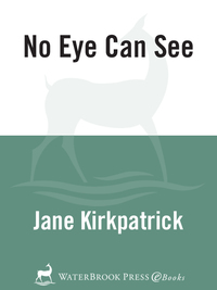 Cover image: No Eye Can See 9781578562336
