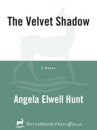 Cover image: The Velvet Shadow 9781578561315