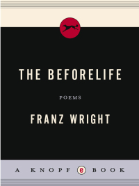 Cover image: The Beforelife 9780375709432