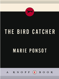 Cover image: The Bird Catcher 9780375701320