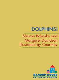 Cover image: Dolphins! 9780679844372