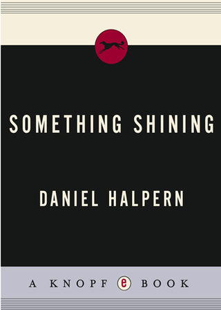 Cover image: Something Shining 9780375707209