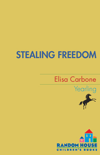 Cover image: Stealing Freedom 9780440417071