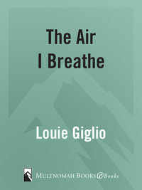 Cover image: The Air I Breathe 9780735290716