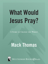 Cover image: What Would Jesus Pray? 1st edition 9781590527382