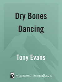 Cover image: Dry Bones Dancing 9781590523919